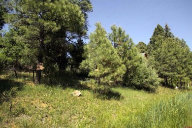 Wendy G Saunders, Keller Williams Realty Southwest Associates on Pagosa Springs Golf Club in Colorado - for sale on GolfHomes.com, golf home, golf lot