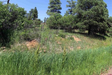 Wendy G Saunders, Keller Williams Realty Southwest Associates on Pagosa Springs Golf Club in Colorado - for sale on GolfHomes.com, golf home, golf lot