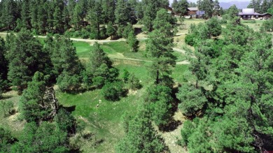 Wendy G Saunders, Keller Williams Realty Southwest Associates on Pagosa Springs Golf Club in Colorado - for sale on GolfHomes.com, golf home, golf lot