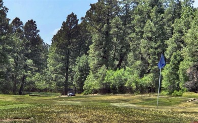 Wendy G Saunders, Keller Williams Realty Southwest Associates on Pagosa Springs Golf Club in Colorado - for sale on GolfHomes.com, golf home, golf lot