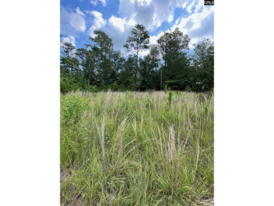 Lot located in Longcreek Plantation-Club Cottages. Longcreek's on Columbia Country Club in South Carolina - for sale on GolfHomes.com, golf home, golf lot