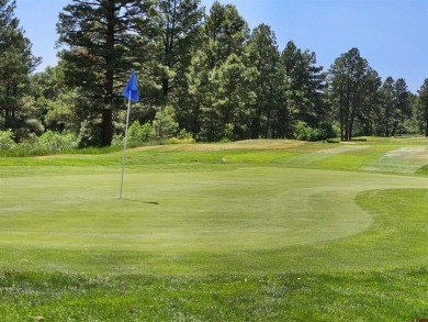 Wendy G Saunders, Keller Williams Realty Southwest Associates on Pagosa Springs Golf Club in Colorado - for sale on GolfHomes.com, golf home, golf lot