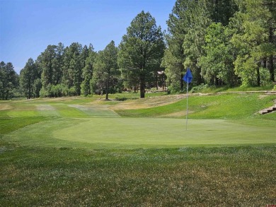 Wendy G Saunders, Keller Williams Realty Southwest Associates on Pagosa Springs Golf Club in Colorado - for sale on GolfHomes.com, golf home, golf lot