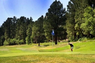 Wendy G Saunders, Keller Williams Realty Southwest Associates on Pagosa Springs Golf Club in Colorado - for sale on GolfHomes.com, golf home, golf lot