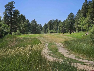 Wendy G Saunders, Keller Williams Realty Southwest Associates on Pagosa Springs Golf Club in Colorado - for sale on GolfHomes.com, golf home, golf lot