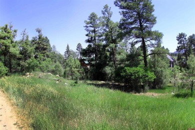 Wendy G Saunders, Keller Williams Realty Southwest Associates on Pagosa Springs Golf Club in Colorado - for sale on GolfHomes.com, golf home, golf lot