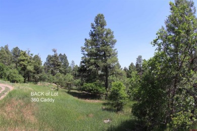 Wendy G Saunders, Keller Williams Realty Southwest Associates on Pagosa Springs Golf Club in Colorado - for sale on GolfHomes.com, golf home, golf lot