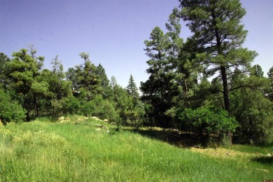 Wendy G Saunders, Keller Williams Realty Southwest Associates on Pagosa Springs Golf Club in Colorado - for sale on GolfHomes.com, golf home, golf lot