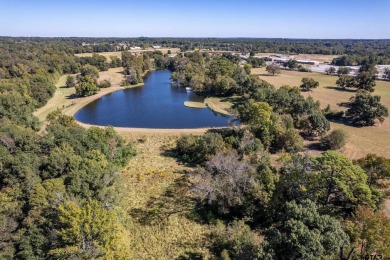 Stunning 52+/- Acre Property in Mineola - Endless Potential! on Mineola Country Club in Texas - for sale on GolfHomes.com, golf home, golf lot