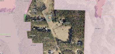 Prime Development Opportunity or Private Estate Living

 on Cobblestone Golf Club in Georgia - for sale on GolfHomes.com, golf home, golf lot