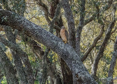 Location, Location, Location. This exquisite 3 bedroom 3 bath on Citrus Hills Golf Club in Florida - for sale on GolfHomes.com, golf home, golf lot