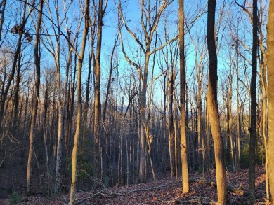 Gorgeous Cul-de-Sac Private Lot with Mountain Views in Buckhorn on White Path Golf Club in Georgia - for sale on GolfHomes.com, golf home, golf lot