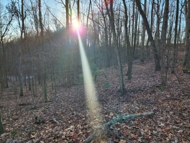 Gorgeous Cul-de-Sac Private Lot with Mountain Views in Buckhorn on White Path Golf Club in Georgia - for sale on GolfHomes.com, golf home, golf lot
