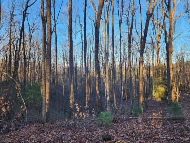 Gorgeous Cul-de-Sac Private Lot with Mountain Views in Buckhorn on White Path Golf Club in Georgia - for sale on GolfHomes.com, golf home, golf lot