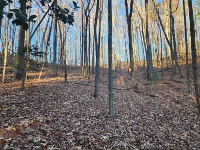 Gorgeous Cul-de-Sac Private Lot with Mountain Views in Buckhorn on White Path Golf Club in Georgia - for sale on GolfHomes.com, golf home, golf lot
