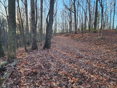 Gorgeous Cul-de-Sac Private Lot with Mountain Views in Buckhorn on White Path Golf Club in Georgia - for sale on GolfHomes.com, golf home, golf lot