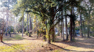 Welcome to the Beautiful and Gated Santee Cooper Resort! Just on Santee-Cooper Country Club in South Carolina - for sale on GolfHomes.com, golf home, golf lot