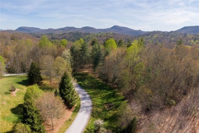 Nestled in the illustrious Trillium community, this exquisite 3 on Trillium Links in North Carolina - for sale on GolfHomes.com, golf home, golf lot