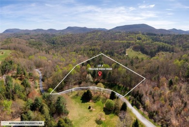 Nestled in the illustrious Trillium community, this exquisite 3 on Trillium Links in North Carolina - for sale on GolfHomes.com, golf home, golf lot