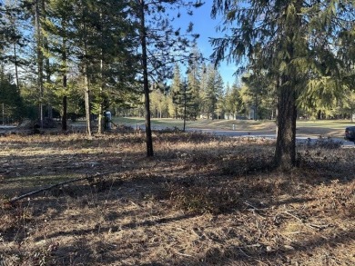 Check out this lot on the pristine 8th fairway of the beautiful on Chewelah Golf and Country Club  in Washington - for sale on GolfHomes.com, golf home, golf lot