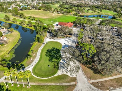 Welcome to 11218 Longbrooke Drive, a charming single-family home on Summerfield Crossing Golf Club in Florida - for sale on GolfHomes.com, golf home, golf lot