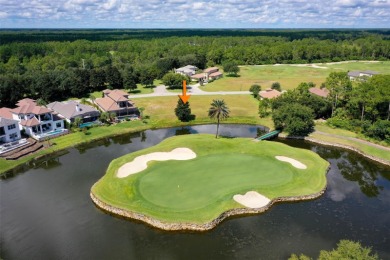 Create your custom Florida dream home on this vacant, cleared on Conservatory Course At Hammock Beach Resort in Florida - for sale on GolfHomes.com, golf home, golf lot