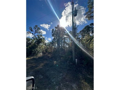 Discover the perfect opportunity to build your dream home on on River Hall Country Club in Florida - for sale on GolfHomes.com, golf home, golf lot