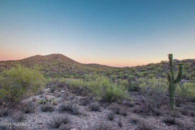 Nestled within a gated, private and luxurious Enclave, this 3 on Starr Pass Golf Club in Arizona - for sale on GolfHomes.com, golf home, golf lot