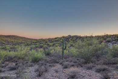 Nestled within a gated, private and luxurious Enclave, this 3 on Starr Pass Golf Club in Arizona - for sale on GolfHomes.com, golf home, golf lot