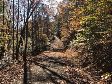 Ready to build your new mountain home? Check out this very on White Path Golf Club in Georgia - for sale on GolfHomes.com, golf home, golf lot