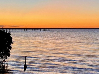 Enjoy the incredible FULL WATERFRONT VIEW of the Myakka River on Riverwood Golf Club in Florida - for sale on GolfHomes.com, golf home, golf lot