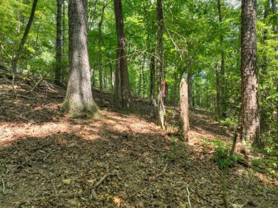 Ready to build your dream mountain home? Discover this 2.70 ACRE on White Path Golf Club in Georgia - for sale on GolfHomes.com, golf home, golf lot