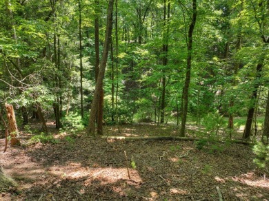 Ready to build your dream mountain home? Discover this 2.70 ACRE on White Path Golf Club in Georgia - for sale on GolfHomes.com, golf home, golf lot