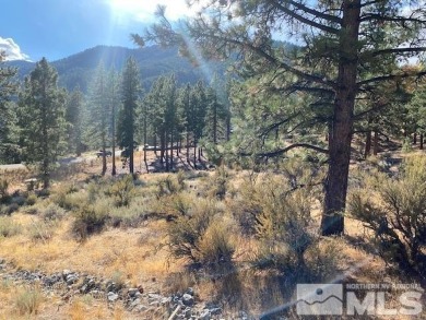 Clear Creek Tahoe is Northern Nevada's most exciting new on Clear Creek Tahoe in Nevada - for sale on GolfHomes.com, golf home, golf lot