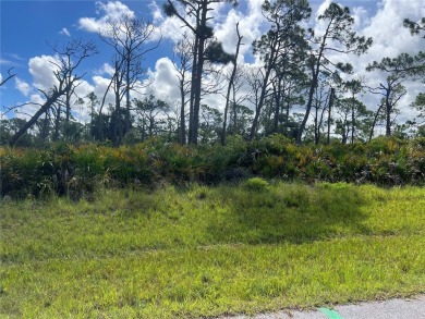 Potential DOUBLE LOT, adjacent lot also for sale. Beautiful on Rotonda Golf and Country Club The Palms Course in Florida - for sale on GolfHomes.com, golf home, golf lot
