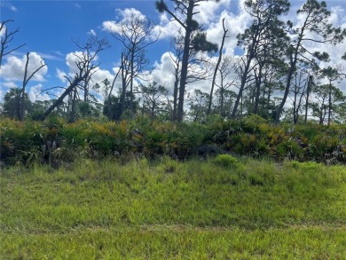 Potential DOUBLE LOT, adjacent lot also for sale. Beautiful on Rotonda Golf and Country Club The Palms Course in Florida - for sale on GolfHomes.com, golf home, golf lot