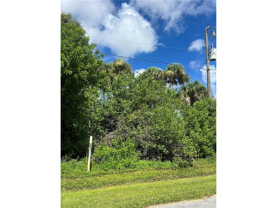 Beautiful building lot in the up-and-coming area of Rotonda on Rotonda Golf and Country Club The Palms Course in Florida - for sale on GolfHomes.com, golf home, golf lot