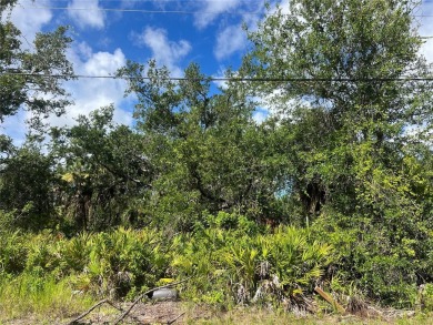 Beautiful building lot in the up-and-coming area of Rotonda on Rotonda Golf and Country Club The Palms Course in Florida - for sale on GolfHomes.com, golf home, golf lot