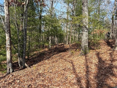 Welcome to the desirable mountain community of Buckhorn Estates on White Path Golf Club in Georgia - for sale on GolfHomes.com, golf home, golf lot