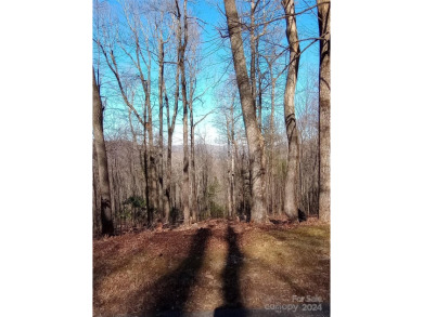 MOTIVATED SELLER.!  Beautiful 1.15 acre, recently cleared on The Cliffs Valley in North Carolina - for sale on GolfHomes.com, golf home, golf lot