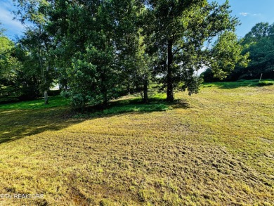 This exceptional property represents the largest single lot in on River Islands Golf Club in Tennessee - for sale on GolfHomes.com, golf home, golf lot
