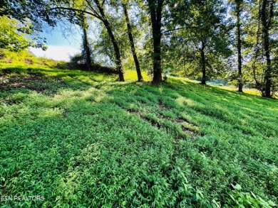 This exceptional property represents the largest single lot in on River Islands Golf Club in Tennessee - for sale on GolfHomes.com, golf home, golf lot