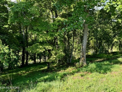 This exceptional property represents the largest single lot in on River Islands Golf Club in Tennessee - for sale on GolfHomes.com, golf home, golf lot