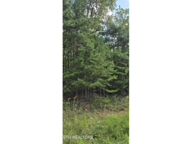 4.2 acres in beautiful Cumberland Cove which offers 3 private on Mountain Ridge Golf Club in Tennessee - for sale on GolfHomes.com, golf home, golf lot