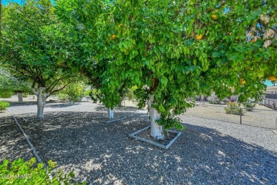 RARE 4th Bedroom Option!  This upgraded N/S facing 3-bedroom on Union Hills Country Club in Arizona - for sale on GolfHomes.com, golf home, golf lot