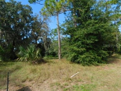 BEAUTIFUL WOODED BUILDING SITE!  This parcel is approximately .4 on The Ridge Manor Oaks Golf and Country Club in Florida - for sale on GolfHomes.com, golf home, golf lot