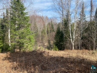 Close country 5 acre parcel for you to potentially build a home on Norwood Acres, Inc. in Wisconsin - for sale on GolfHomes.com, golf home, golf lot