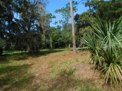 BEAUTIFUL WOODED BUILDING SITE!  This parcel is approximately .4 on The Ridge Manor Oaks Golf and Country Club in Florida - for sale on GolfHomes.com, golf home, golf lot