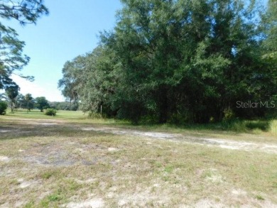 BEAUTIFUL WOODED BUILDING SITE!  This property is just over a on The Ridge Manor Oaks Golf and Country Club in Florida - for sale on GolfHomes.com, golf home, golf lot