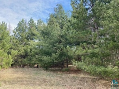 Close country 5 acre parcel for you to potentially build a home on Norwood Acres, Inc. in Wisconsin - for sale on GolfHomes.com, golf home, golf lot